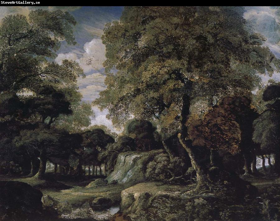 Jan van der Heyden Forest landscape
